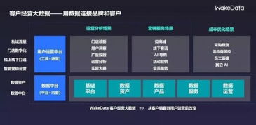 2019全球數(shù)字價(jià)值峰會(huì) WakeData李柯辰——以數(shù)據(jù)為橋，連接品牌與客戶